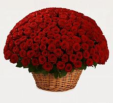 Премиум букет из: Розы в Романовской